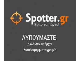 ΤΑ ΔΕΛΦΙΝΑΚΙΑ